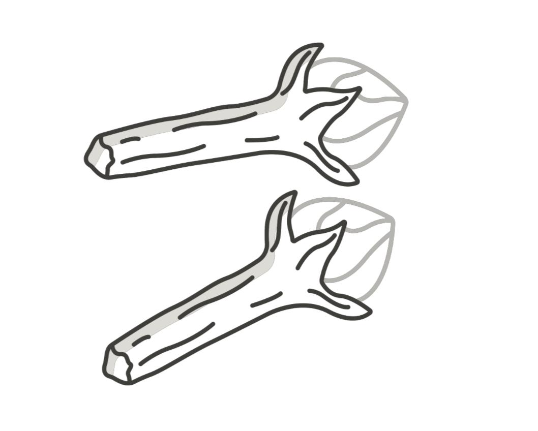 feature-item-5