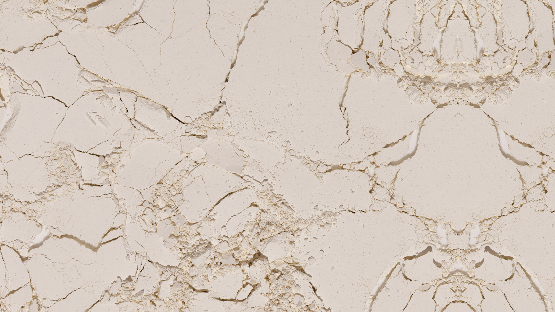 Elsas_Organic_Skinfoods Kaolin Clay